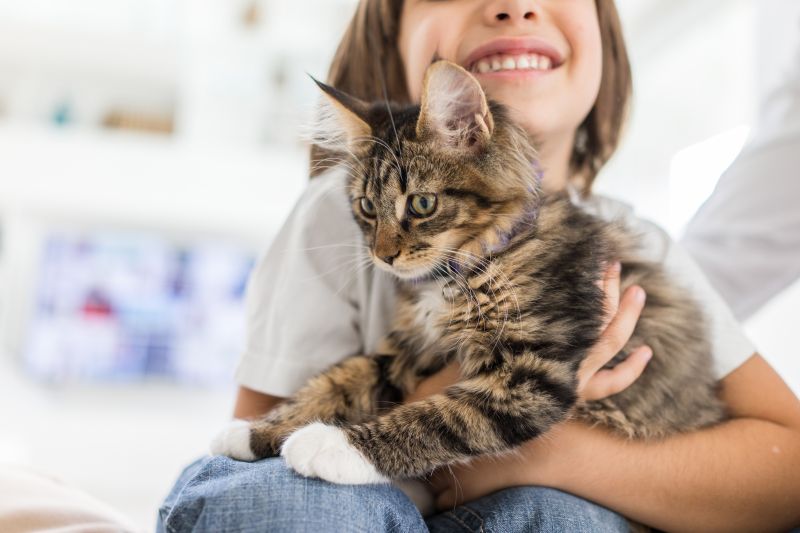 Деца и котки